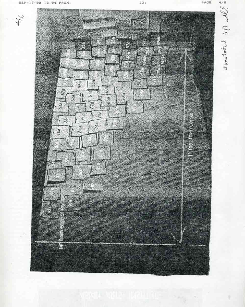 Drawing for Extravagance of Memory II
